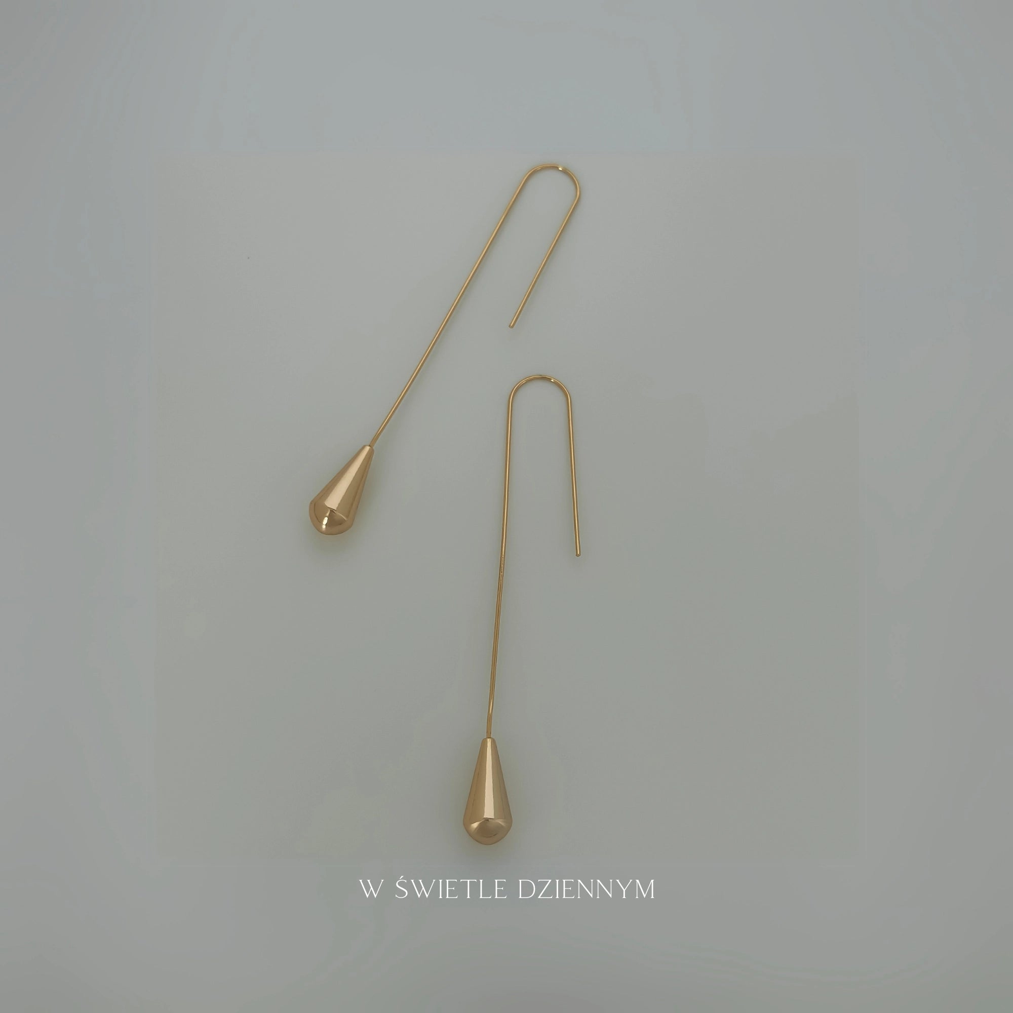 Hook Drop Earrings