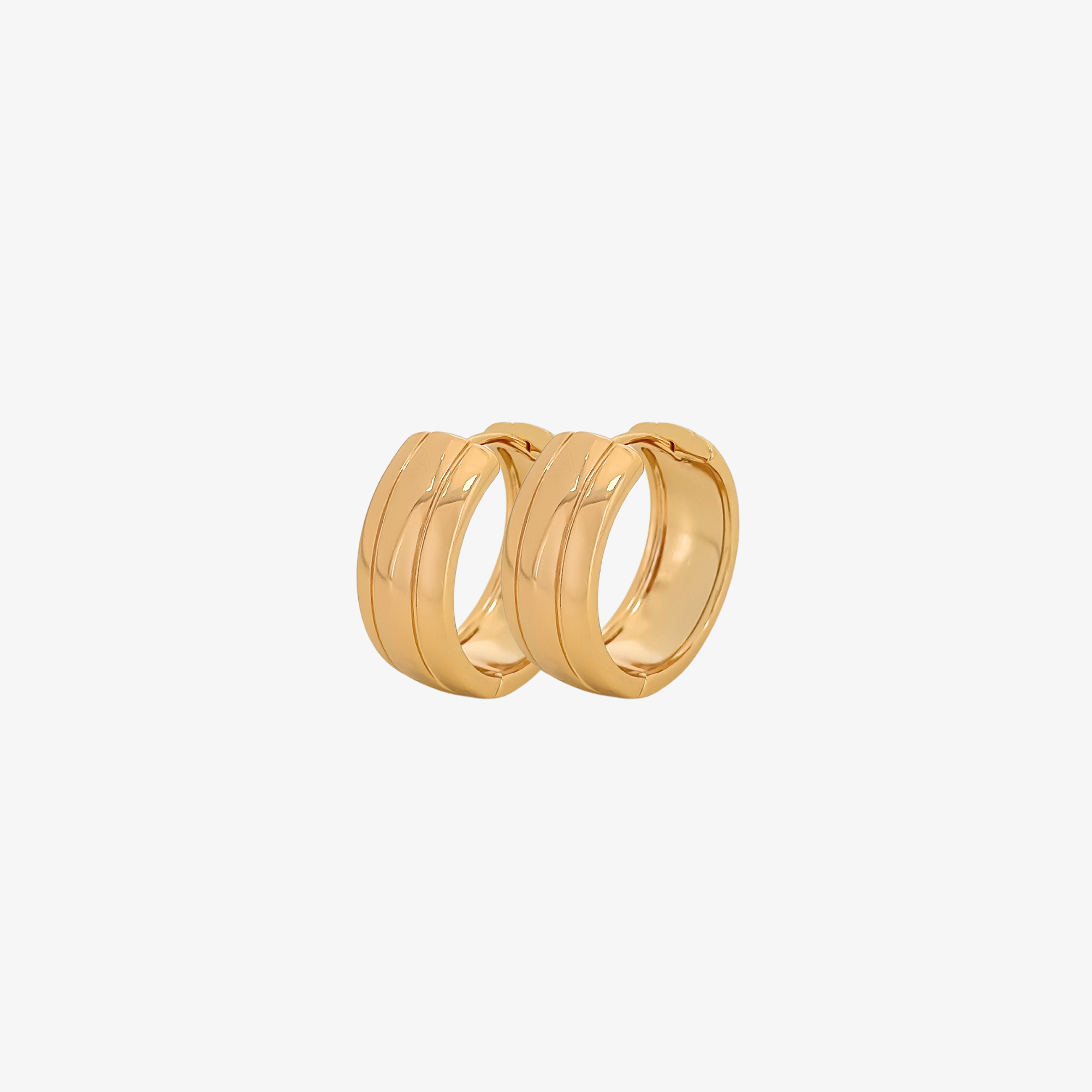 Veronica Hoops