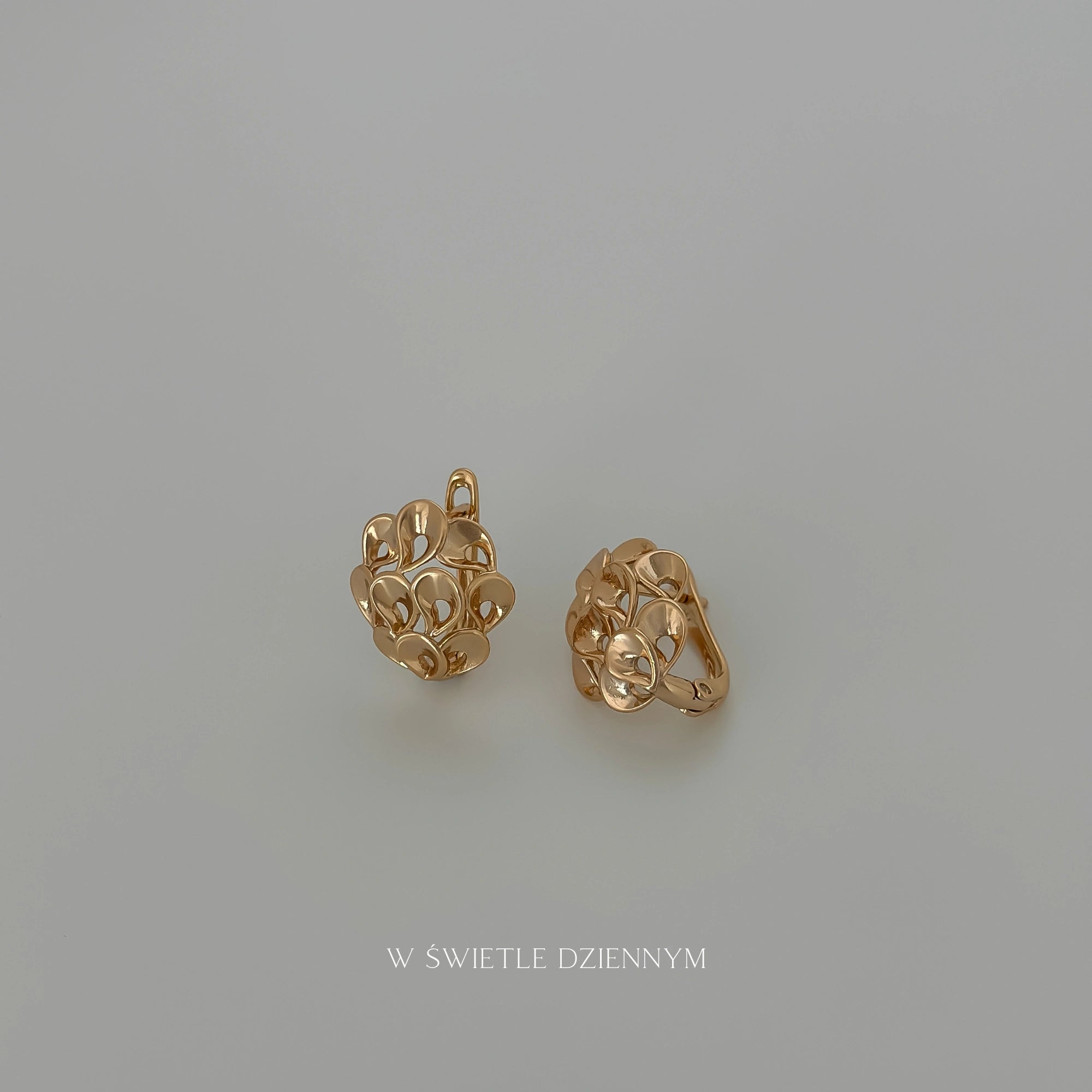 Peacock Earrings