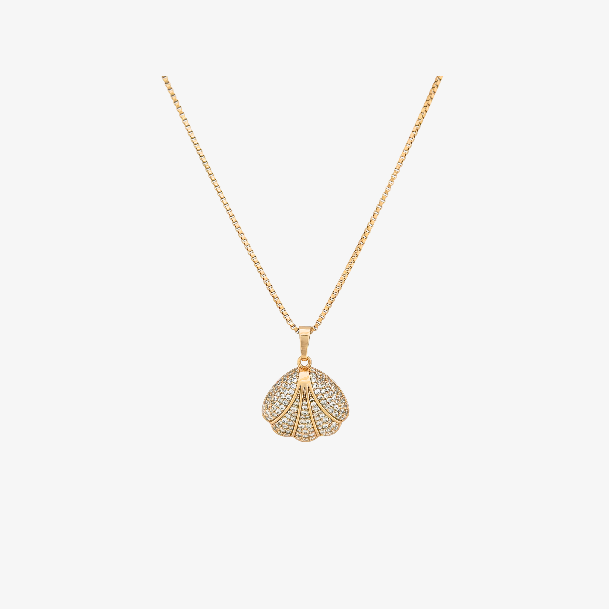 Rich Shell Necklace
