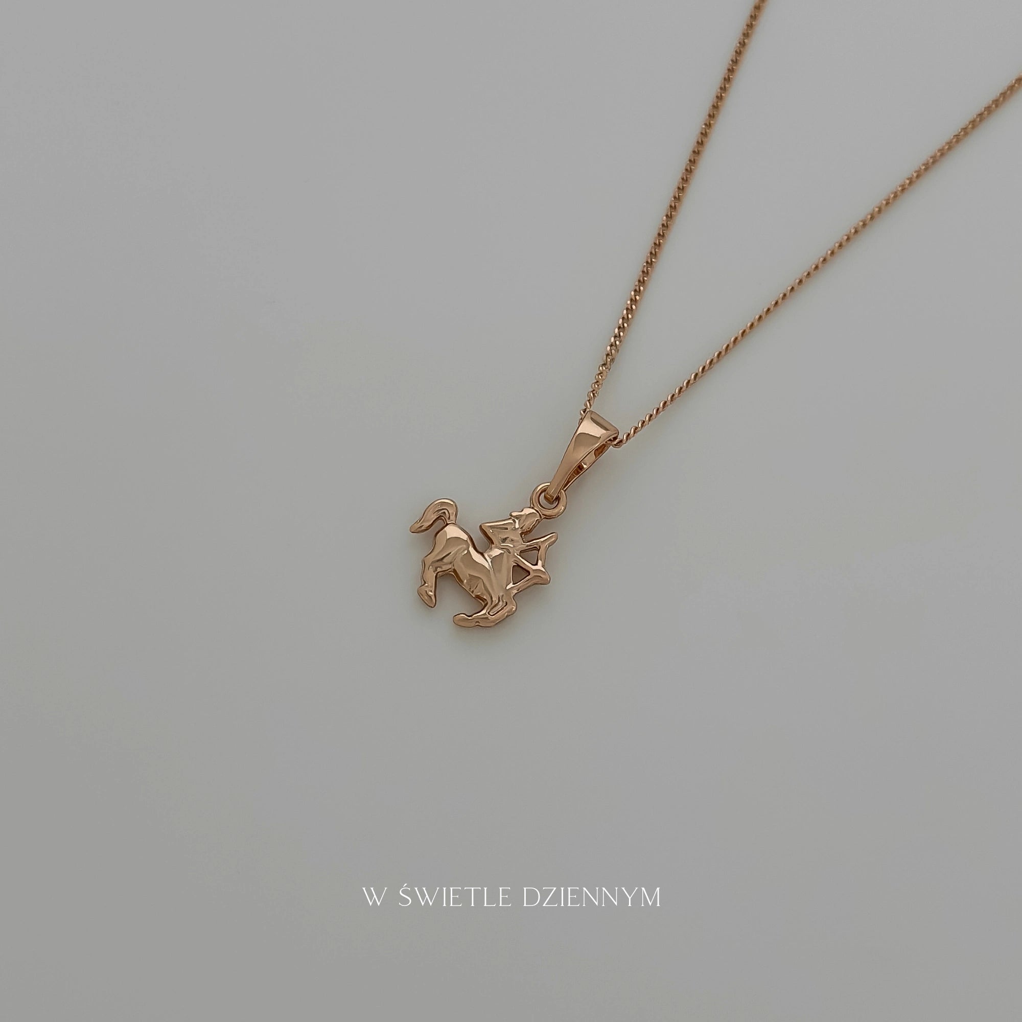 Tiny Zodiac Necklace