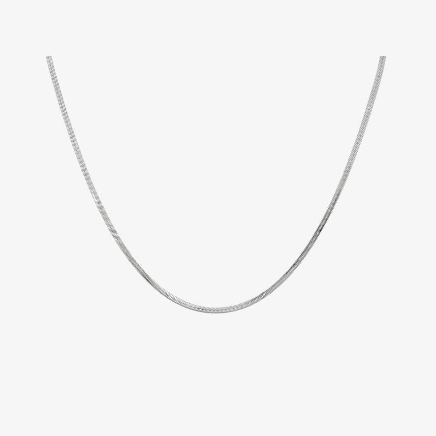 Dainty Snake Necklace [Silver]