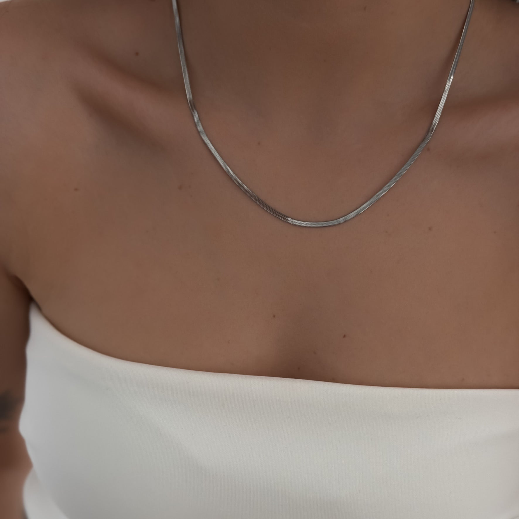 Dainty Snake Necklace [Silver]