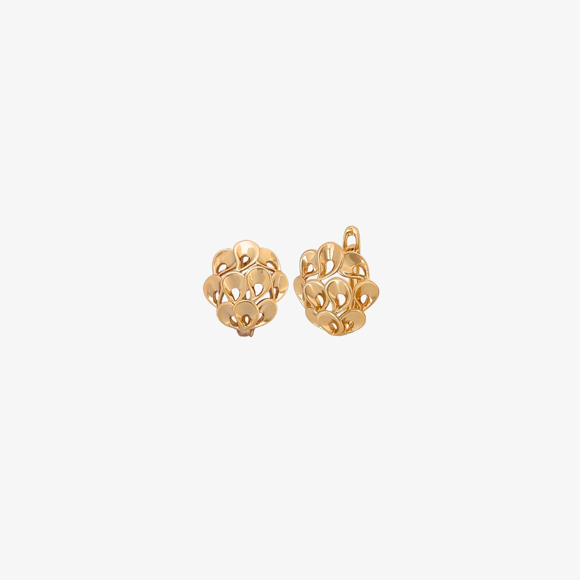 Peacock Earrings